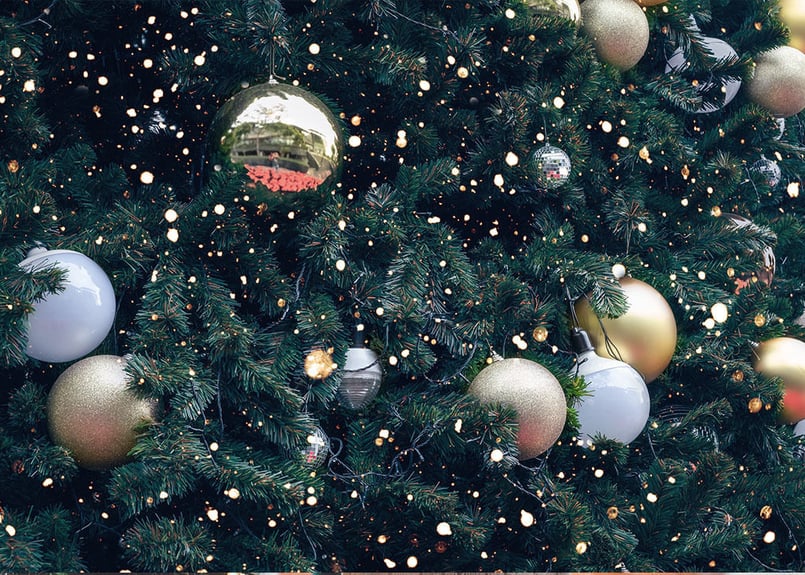 みぃ❣️オレゴン産モミ　クリスマスリース　直径28〜30㎝ flower HyggEです 📢🎄【クリスマスリースレッスンのお知らせ