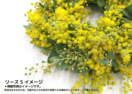 【西麻布】Workshop：ミモザのリース【 2023年2月4日（土）】