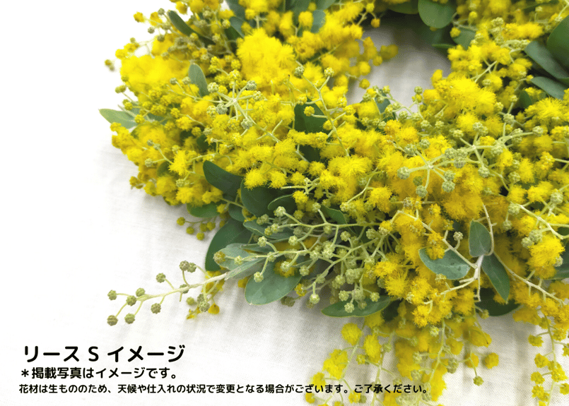 西麻布】Workshop：ミモザのリース【 2023年2月4日（土）】 | Glanet c