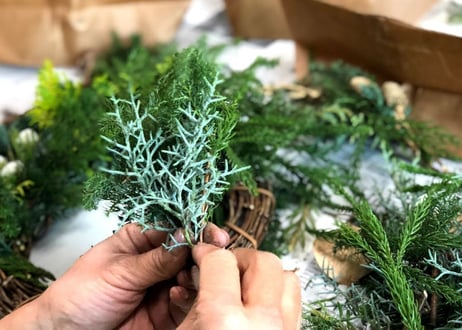 Workshop：コニファーのクリスマスリース【 2023年11月19日（日）】