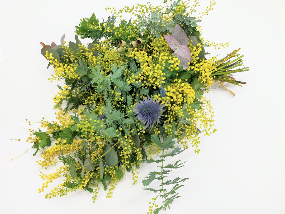 1点限り】ミモザ スワッグ 【フレッシュ 】 | Glanet collection