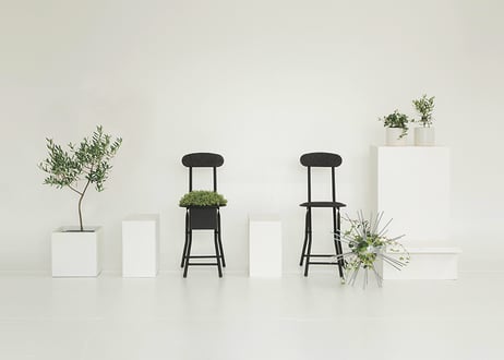 story of “Not chair”