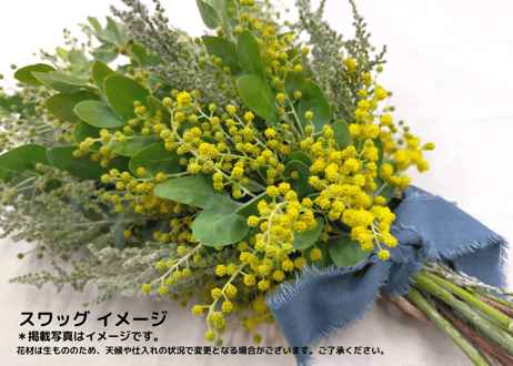 【西麻布】Workshop：ミモザのリース【 2023年2月4日（土）】