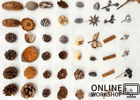 【オンライン】Workshop：木の実リース【 2021年10月30日 (土)】