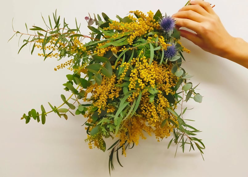 限定】ミモザのスワッグ B （全長約50cm） | Glanet collection