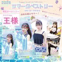 めいどりーみん 王様タペストリー めいどりーみん 王様タペストリー お家でめいどりーみんシリーズ