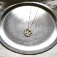 Lotus root★レンコン