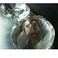 Bird★セキセイ