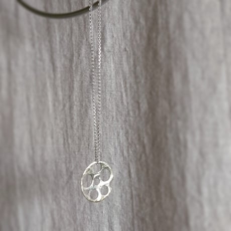 Lotus root★レンコン