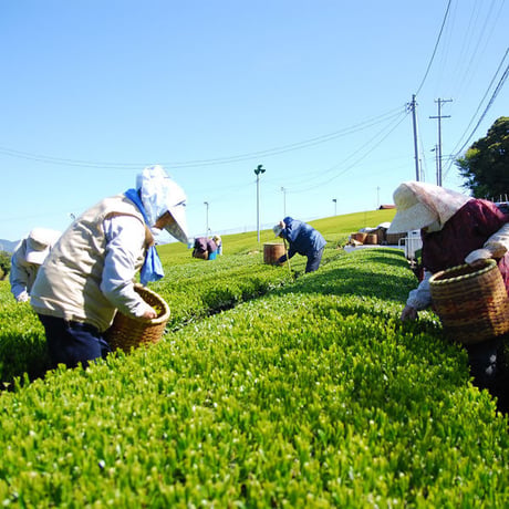 抹茶入り玄米茶　100g