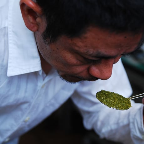伝承の茶(でんしょうのちゃ)　掛川産限定深蒸し茶100g