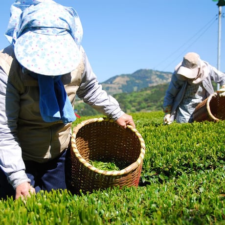 抹茶入り玄米茶　100g