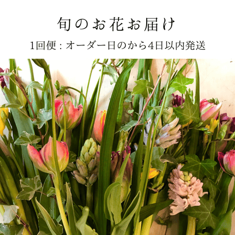 旬のお花お届け       オーダー日から4日以内に発送