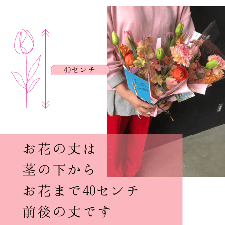 毎月1回の定期便