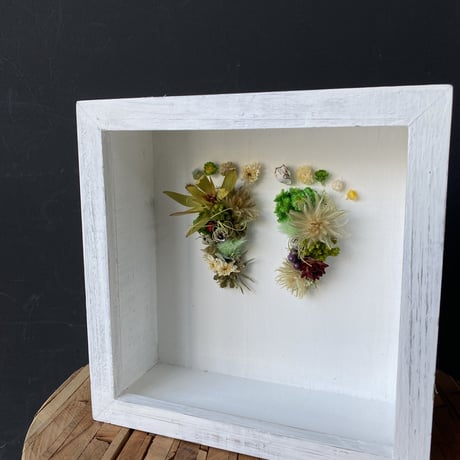footprint flower  ガラスケースver