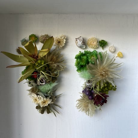 footprint flower  ガラスケースver
