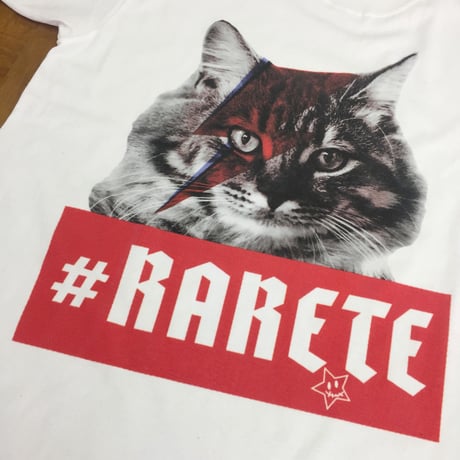 RARETE (ラルテ)  入手困難  猫 デビットボウイ  イナズマ Tシャツ ホワイト  星柄 star