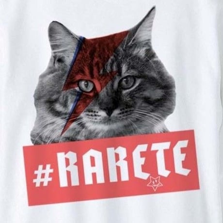RARETE (ラルテ) cat 猫  デビットボーイ スエット ホワイト  星柄 star（裏パイル）
