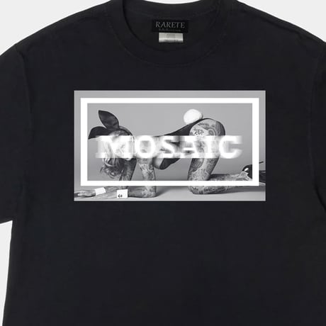 RARETE (ラルテ) MOSAIC kt bunny Tシャツ