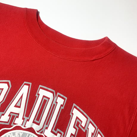 1990's Champion Reverse Weave Sweat