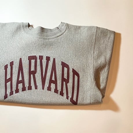 1990's Champion Reverse Weave Sweat