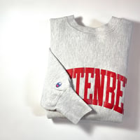 1990's Champion Reverse Weave Sweat