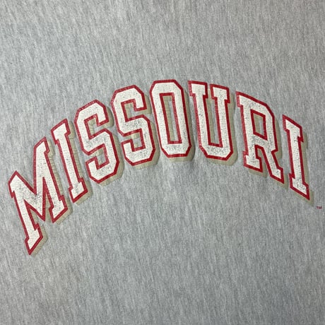 1990's Champion Reverse Weave Sweat