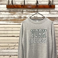 1980's Champion Printed L/S Tee