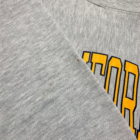 1980's  Champion Reverse Weave Sweat