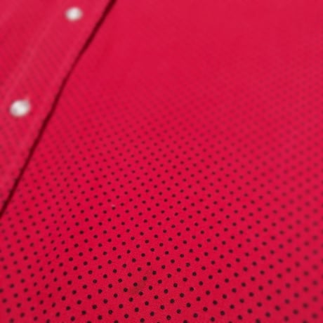 1960's W.T.GRANT Pin Dots L/S Shirt