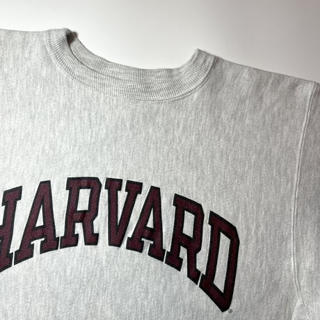 1990's Champion Reverse Weave Sweat