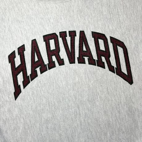 1980's Champion Reverse Weave Sweat