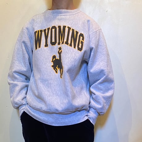 1990's Champion Reverse Weave Sweat