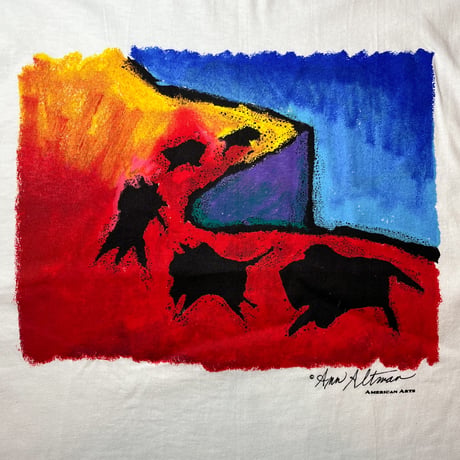 1990's Hanes Printed Tee Deadstock