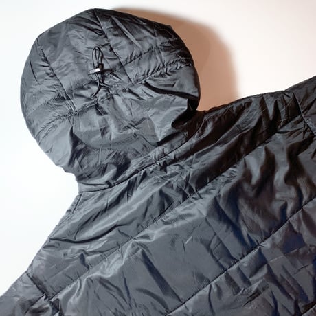 2000's Patagonia Das Parka