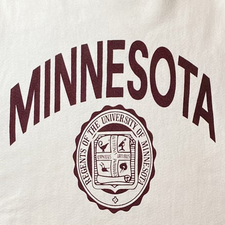 1990's Champion Reverse Weave Sweat