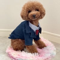 ストライプシャツ・ネクタイ重ね着ジャケット　ネイビー