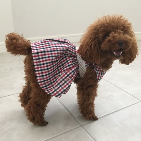 チェックリボンワンピース　レッド
