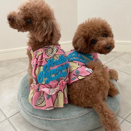 Hello Summer Touchdog レモンワンピース　ピンク