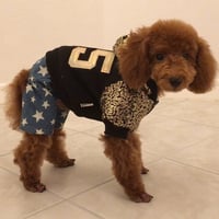 スパンコールパーカー 星デニムズボン ブラック
