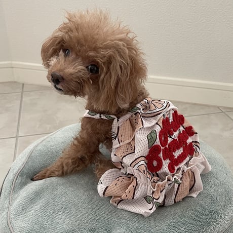Hello Summer Touchdog レモンワンピース　ベージュ