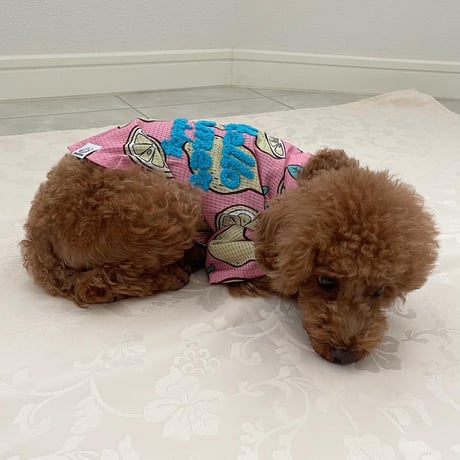 【アウトレット】Hello Summer Touchdog レモンシャツ　ピンク　L