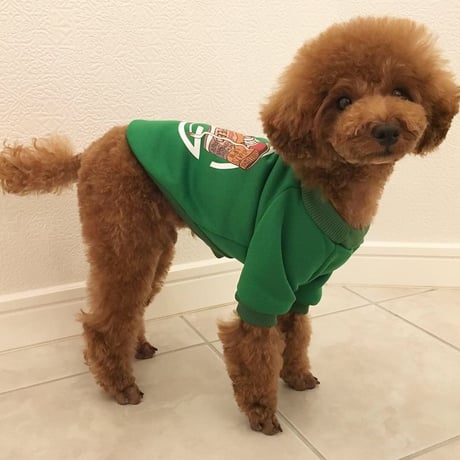 スニーカートレーナー　グリーン