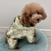宇宙服ロンパース　ゴールド