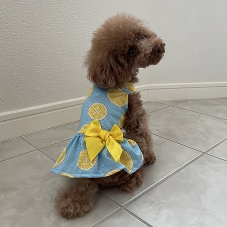 メッシュレモンワンピース