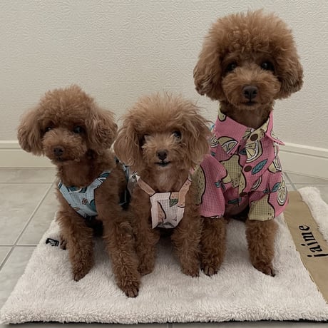 Hello Summer Touchdog レモンワンピース　ピンク