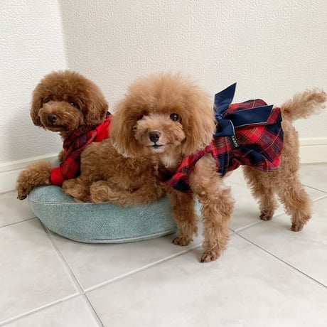 タータンチェックリボンワンピース  レッド＆ネイビー