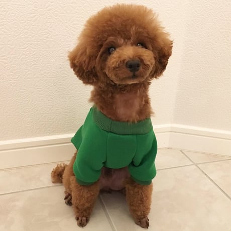 スニーカートレーナー　グリーン