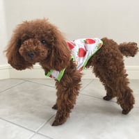 ストロベリータンクトップ