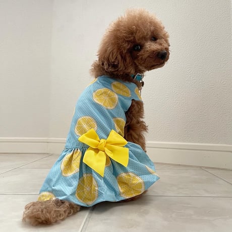 メッシュレモンワンピース